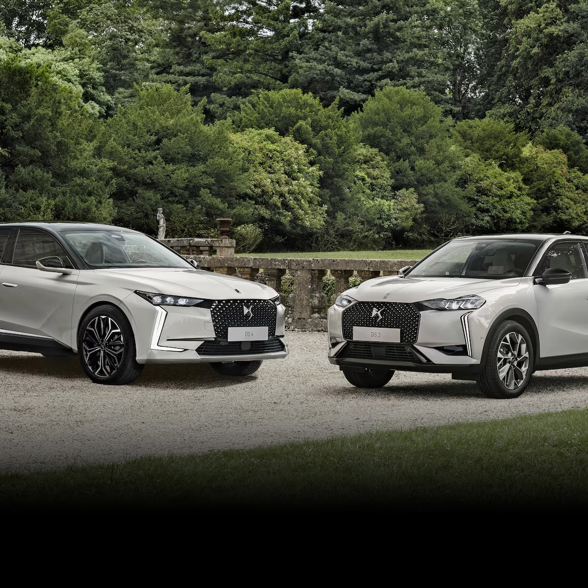 DS Automotive servizi unici